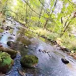 Unik - Im Oberharz Fruehstueck Halbpension Buchbar Appartamento