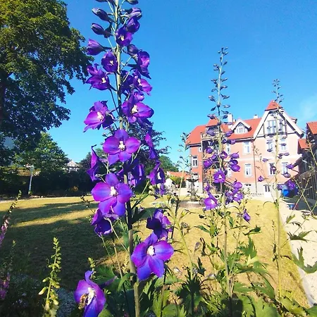Apartment Unik - Im Oberharz Bis 4 Personen Sankt Andreasberg